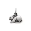 Cottontail Rabbit Charm