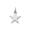Star Charm