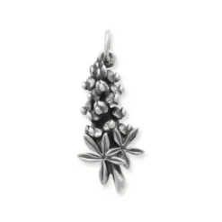 Bluebonnet Charm