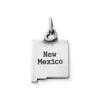 My "New Mexico" Charm