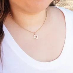 Pave Diamond Deep In The Heart Of Texas Pendant -Charmora Shop CM 6127 336353 IGC